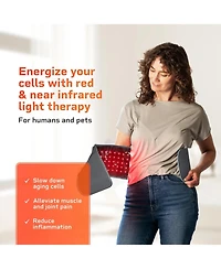 LifePro Red Light Therapy Belt for Muscle Relaxation, Inflammation Relief, and Improved Circulation - Infrared Therapy