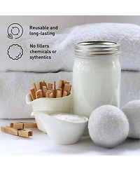 Pursonic Travel Laundry Essentials Set: Garment Steamer, Mini Iron, Eco-Friendly Laundry Sheets, and Wool Dryer Balls