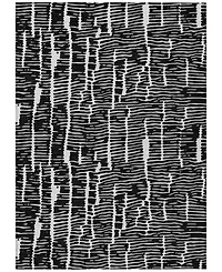 Addison Chantille Machine Washable ACN830 8'x10' Area Rug