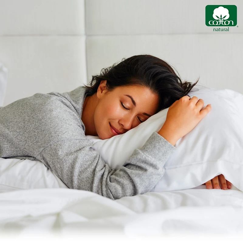 Luxury 800 Thread Count 2 Standard Pillowcases, 100% Cotton Sateen, Soft, Smooth & Thick, Fits Queen Pillows by California Design Den