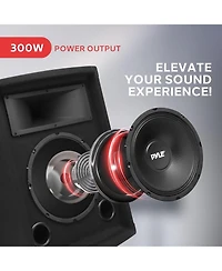 Pyle 500 Watt 10" 2-Way Speaker Cabinet with Horn and Tweeter