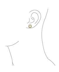 Bling Jewelry Lucky Equestrian Cz Stud Earrings Horseshoe Sterling Silver
