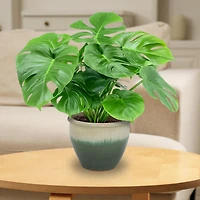 Chalet Outdoor/Indoor High-Fired Glazed Uv- and Frost-Resistant Ceramic Planters with Drainage Holes - 2-Pack
