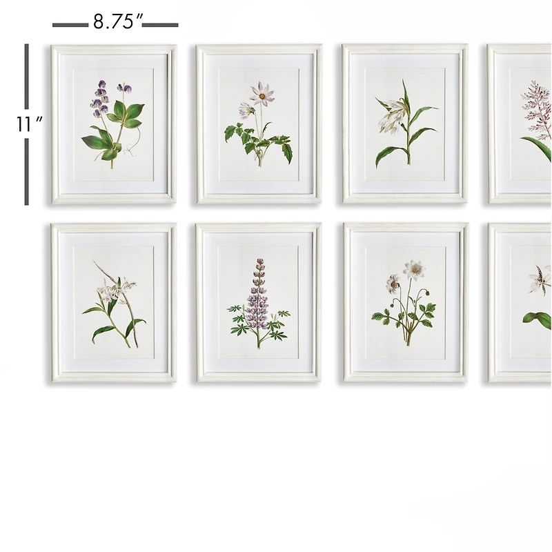 Flowers In Bloom Petite Prints Set of 8