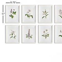 Flowers In Bloom Petite Prints Set of 8