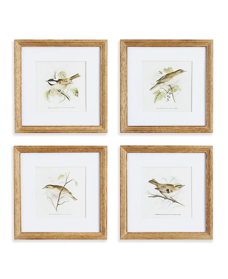 Perching Bird Study Petite Set of 4