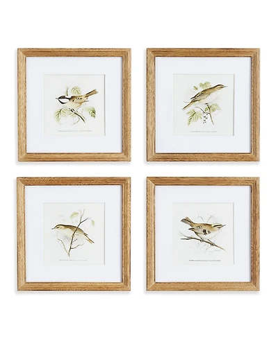 Perching Bird Study Petite Set of 4