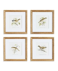 Perching Bird Study Petite Set of 4
