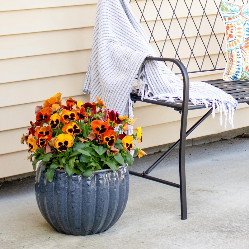 Round Ceramic Planter - Black Mist - 13.5"