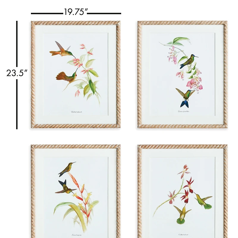 Playful Hummingbird Prints Set of 4