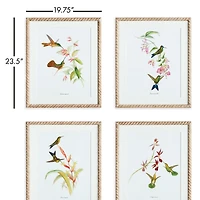 Playful Hummingbird Prints Set of 4