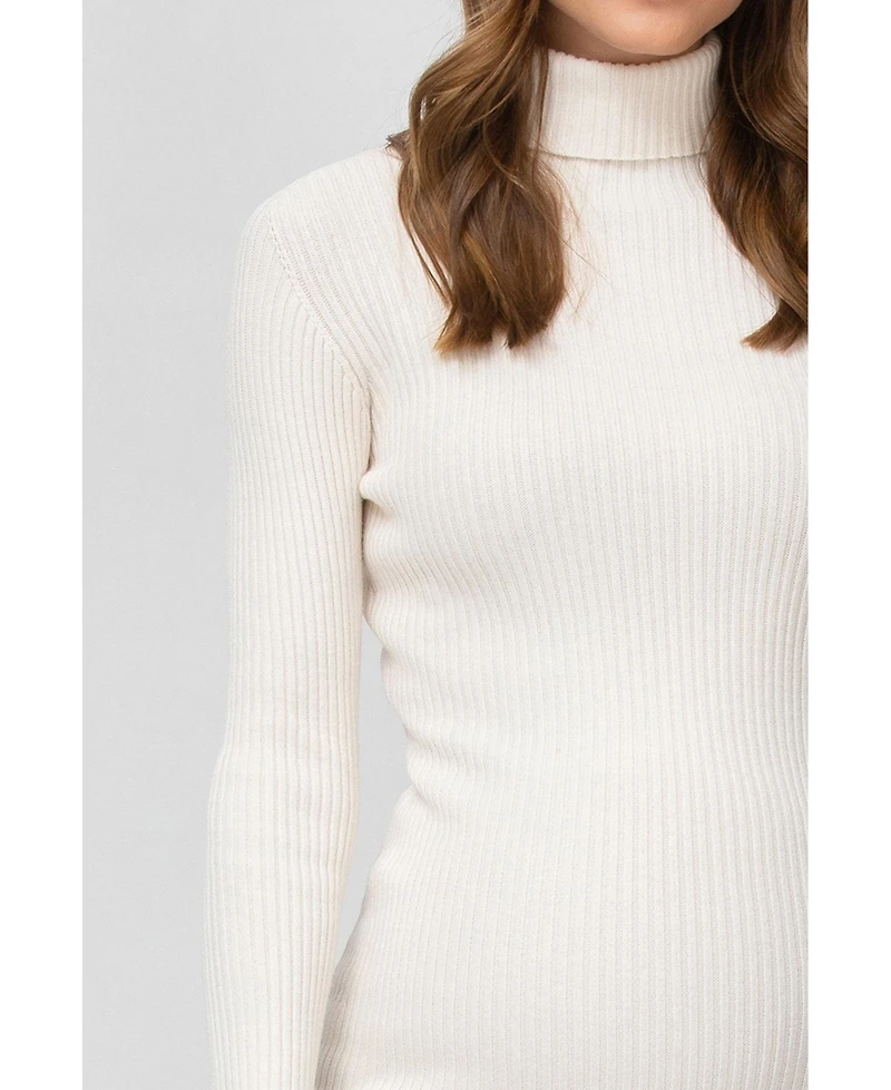 Pietro Brunelli Maternity Maternity Long Sleeve Body-Con Celeste Dress with Turtleneck