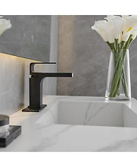 Single Hole Single-Handle Bathroom Faucet in Brushed Nickel