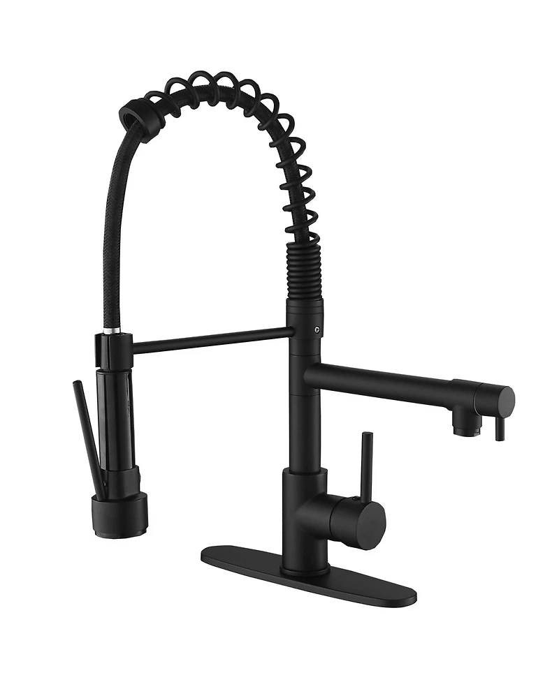 Single-Handle Pull-Down Sprayer 2 Spray High Arc Kitchen Faucet