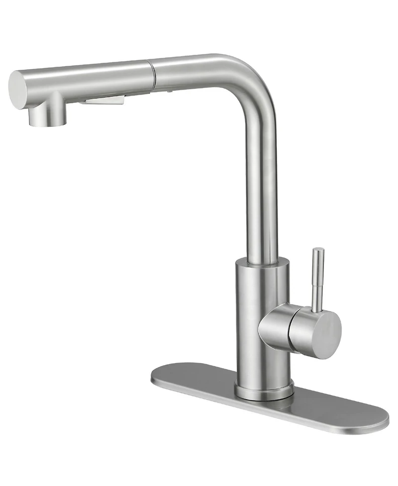 2 Sprayer Single Hole Single-Handle Pull Out Kitchen Faucet 360Swivel Spout