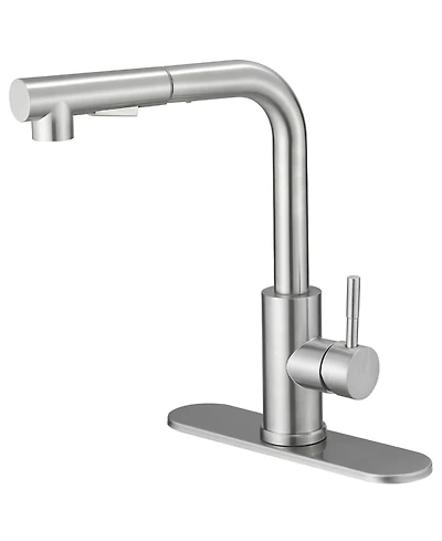 2 Sprayer Single Hole Single-Handle Pull Out Kitchen Faucet 360Swivel Spout