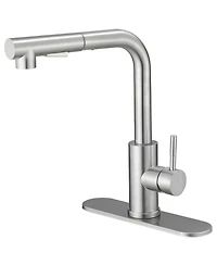 2 Sprayer Single Hole Single-Handle Pull Out Kitchen Faucet 360Swivel Spout