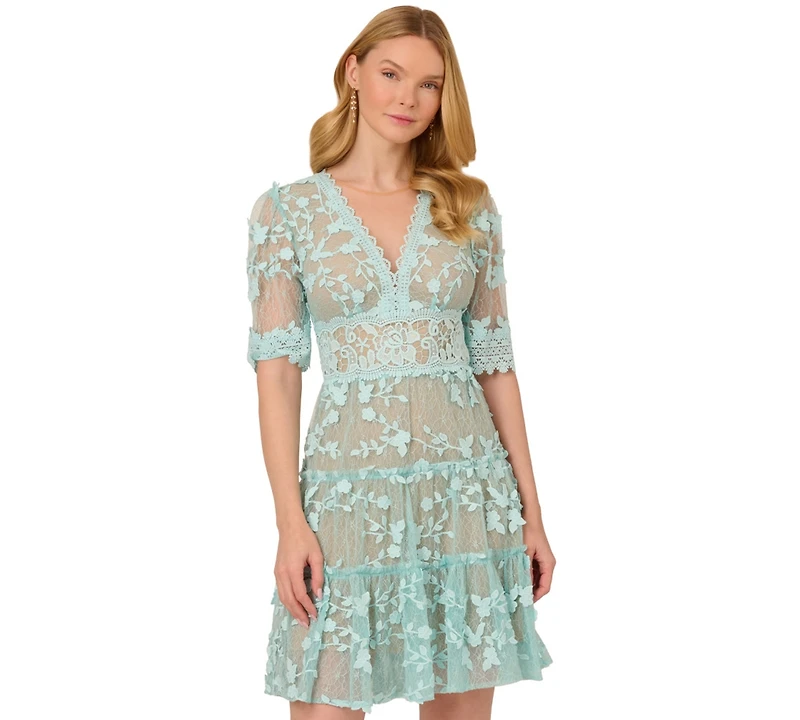 Adrianna Papell Women's V-Neck Lace Embroidery Dress