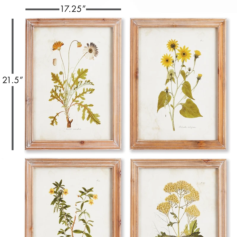 Golden Wildflower Study Set of 4