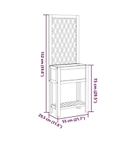 Planter with Trellis and Shelf 21.7"x11.6"x59.8" Solid Wood Acacia