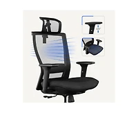FlexiSpot C4B Ergonomic Mesh High-Back Office Chair, Black