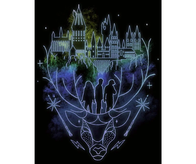 Harry Potter Men's Hogwarts Patronus Line Art Black T-shirt-Medium