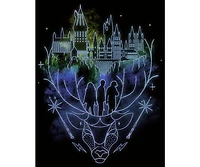 Harry Potter Men's Hogwarts Patronus Line Art Black T-shirt-Medium
