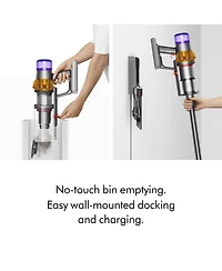 Dyson V15 Detect Cordless Vacuum