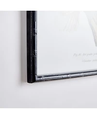 21.5"W x 1.25"D x 27.5"H Parrot Study In White Framed Wall Art Set of 4