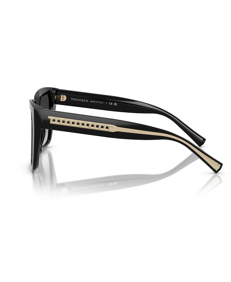 Tiffany & Co. Women's Large Sunglasses