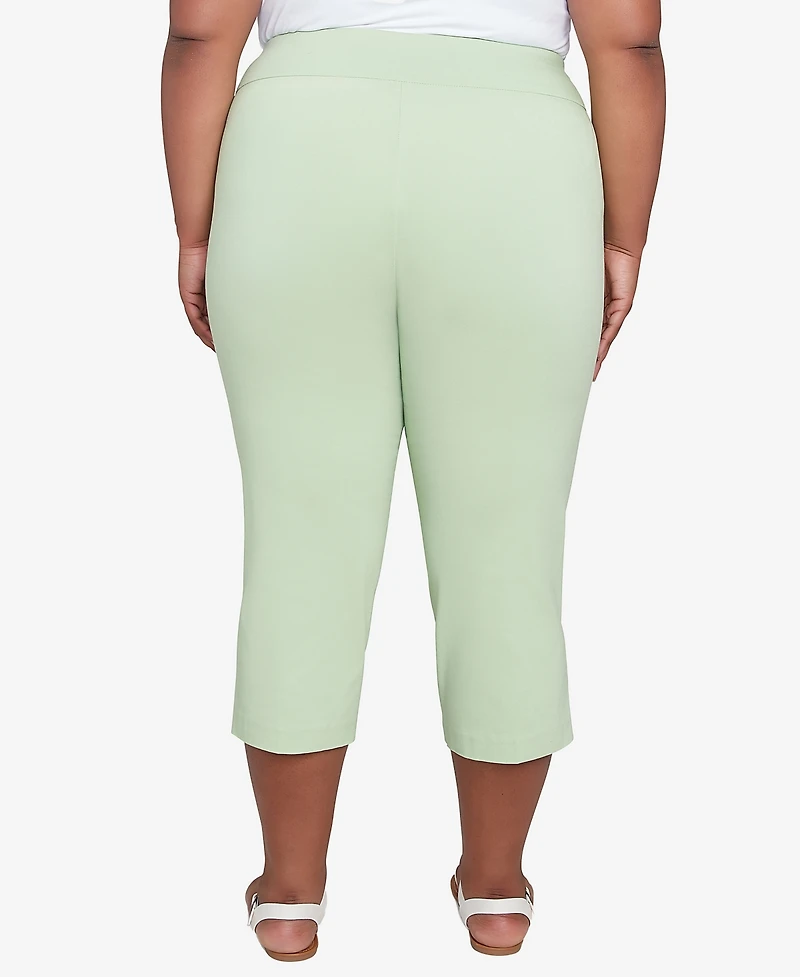 Hearts Of Palm Plus Solid Tech Stretch Pull On Pants