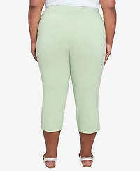 Hearts Of Palm Plus Solid Tech Stretch Pull On Pants
