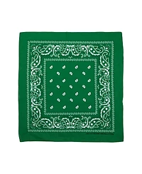 Bioworld Lightweight Multicolored 22"x22" 48-Pack Bandana Set