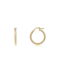 The Lovery Mini Mesh Gold Hoop Earrings 14K Yellow Gold