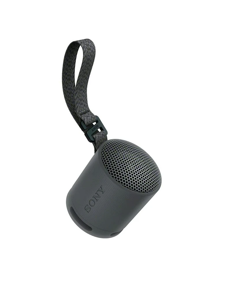Sony Srs-XB100 Wireless Bluetooth Portable Speaker (Black) with Case Bundle