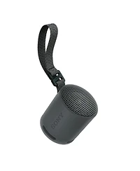 Sony Srs-XB100 Wireless Bluetooth Portable Speaker (Black) with Case Bundle
