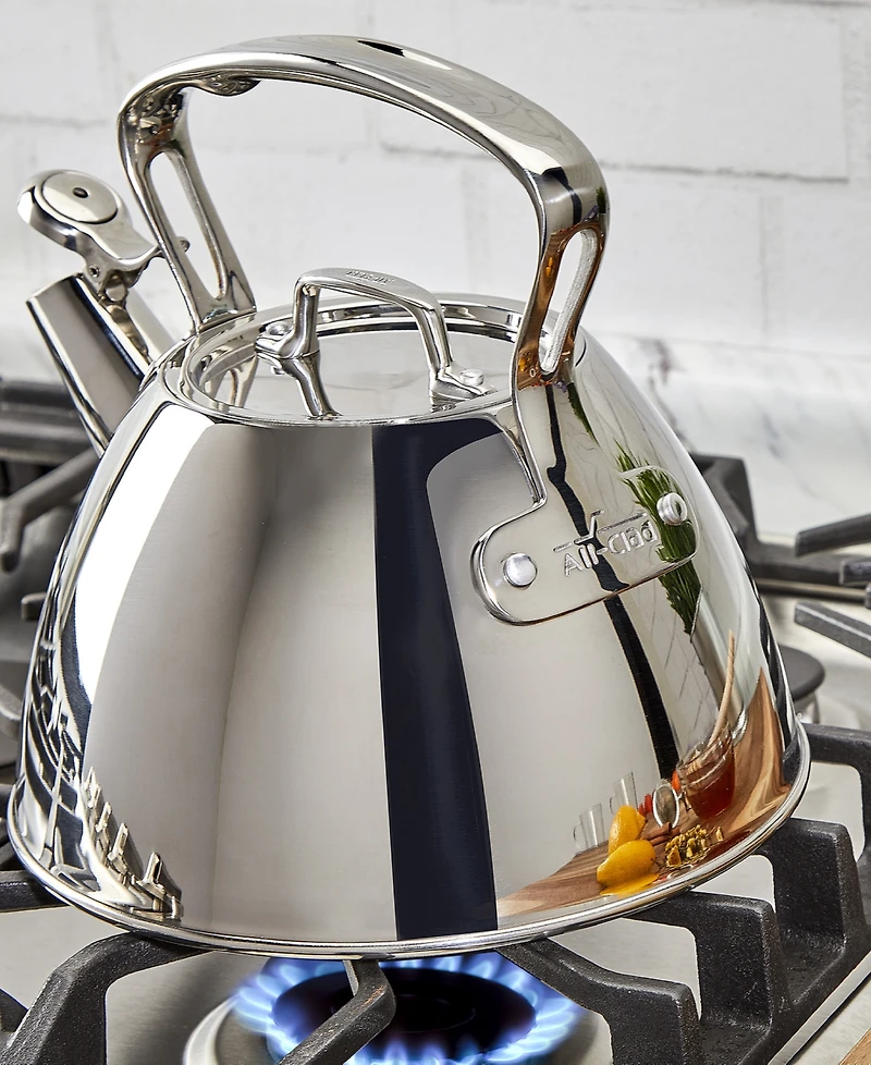 All-Clad Stainless Steel Tea Kettle