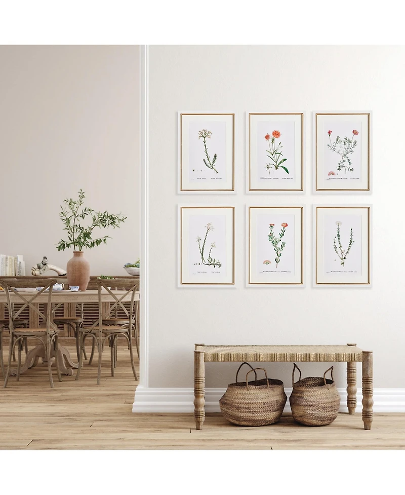 15.75"W x 0.75"D x 21.5"H Flower Studies In Shades Of Blush Framed Wall Art Set of 6