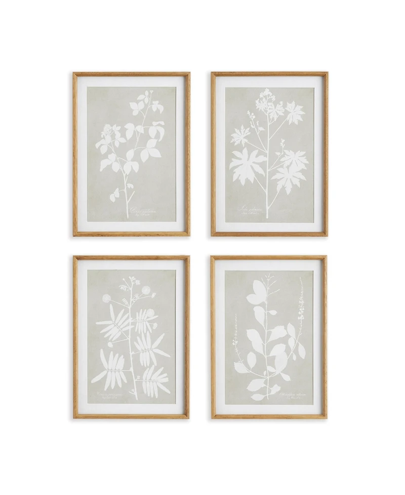 Foliage Study Set of 4