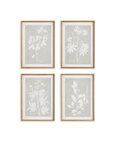 Foliage Study Set of 4