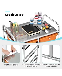 10-Drawer Rolling Storage Cart-Deep