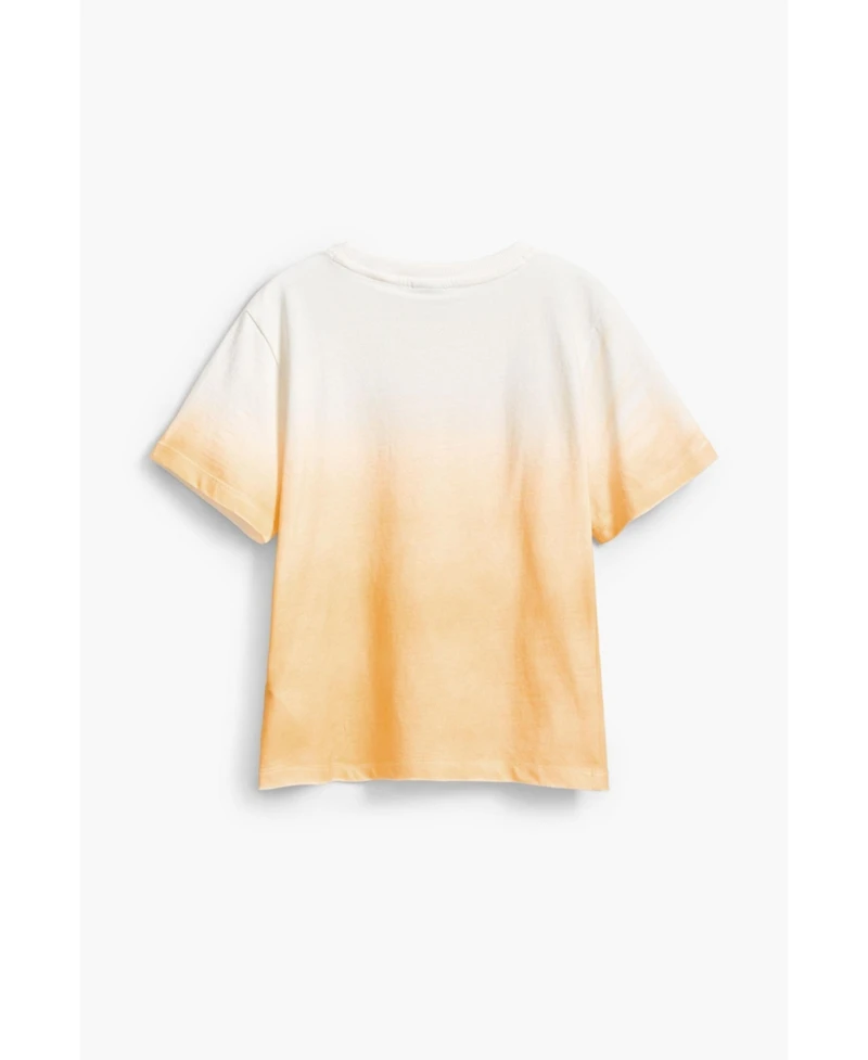 Desigual Boys Boys's Gradient T-shirt