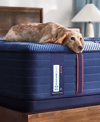 Sealy Posturepedic Elite Albany Ii 14 Firm Tight Top Mattress Collection