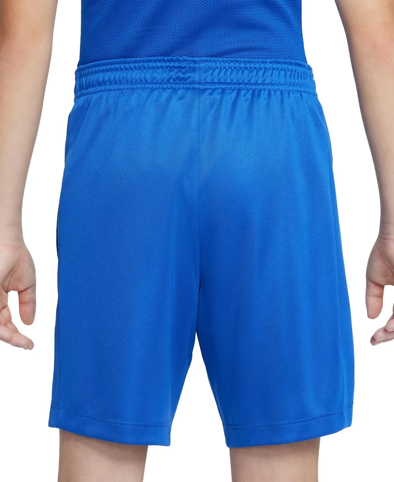 Nike Big Kids Trophy23 Dri-fit Shorts