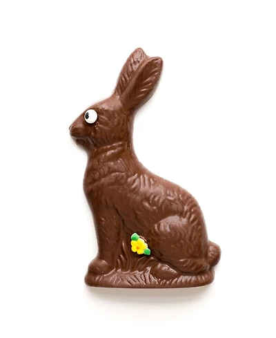 Sugar Plum Chocolates Milk Chocolate Solid Easter Bunny, 8oz