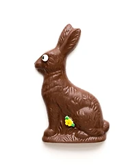 Sugar Plum Chocolates Milk Chocolate Solid Easter Bunny, 8oz