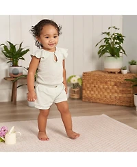 Gerber Childrenswear Baby Girls Flutter Sleeve Bodysuit and Shorts Set