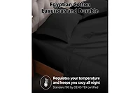 Superior Egyptian Cotton 300 Thread Count Solid Bed Sheet Set
