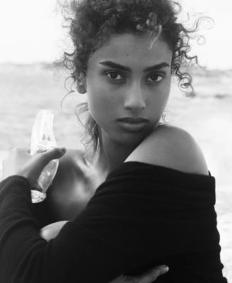 Donna Karan New York Cashmere Mist Fragrance Collection