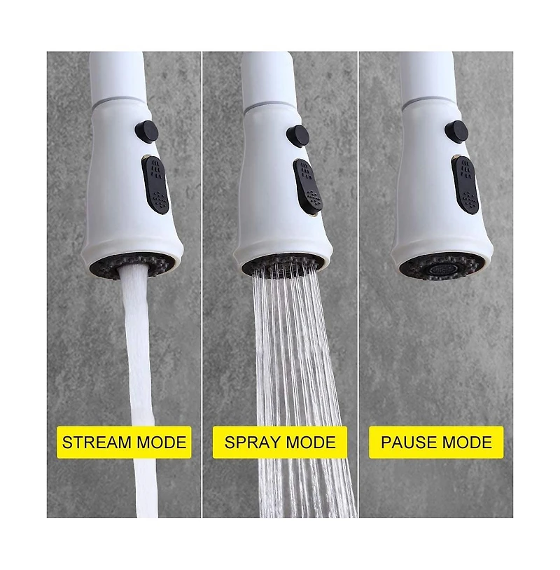 Kitchen Faucet with Pull Out Spraye